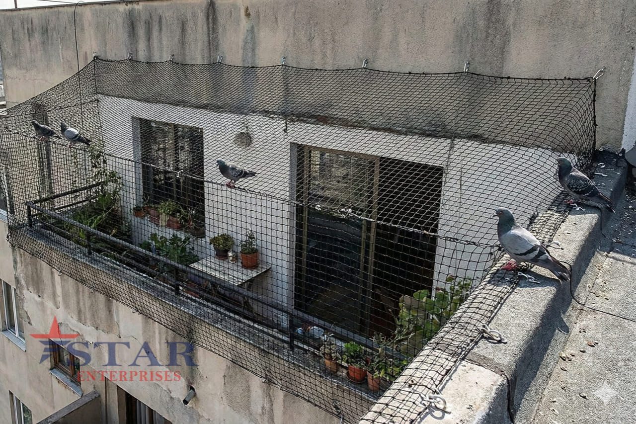 Pigeon Safety Nets